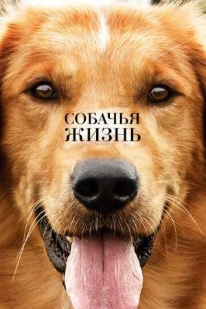 Собачья жизнь онлайн